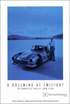 A Gullwing At Twilight DVD